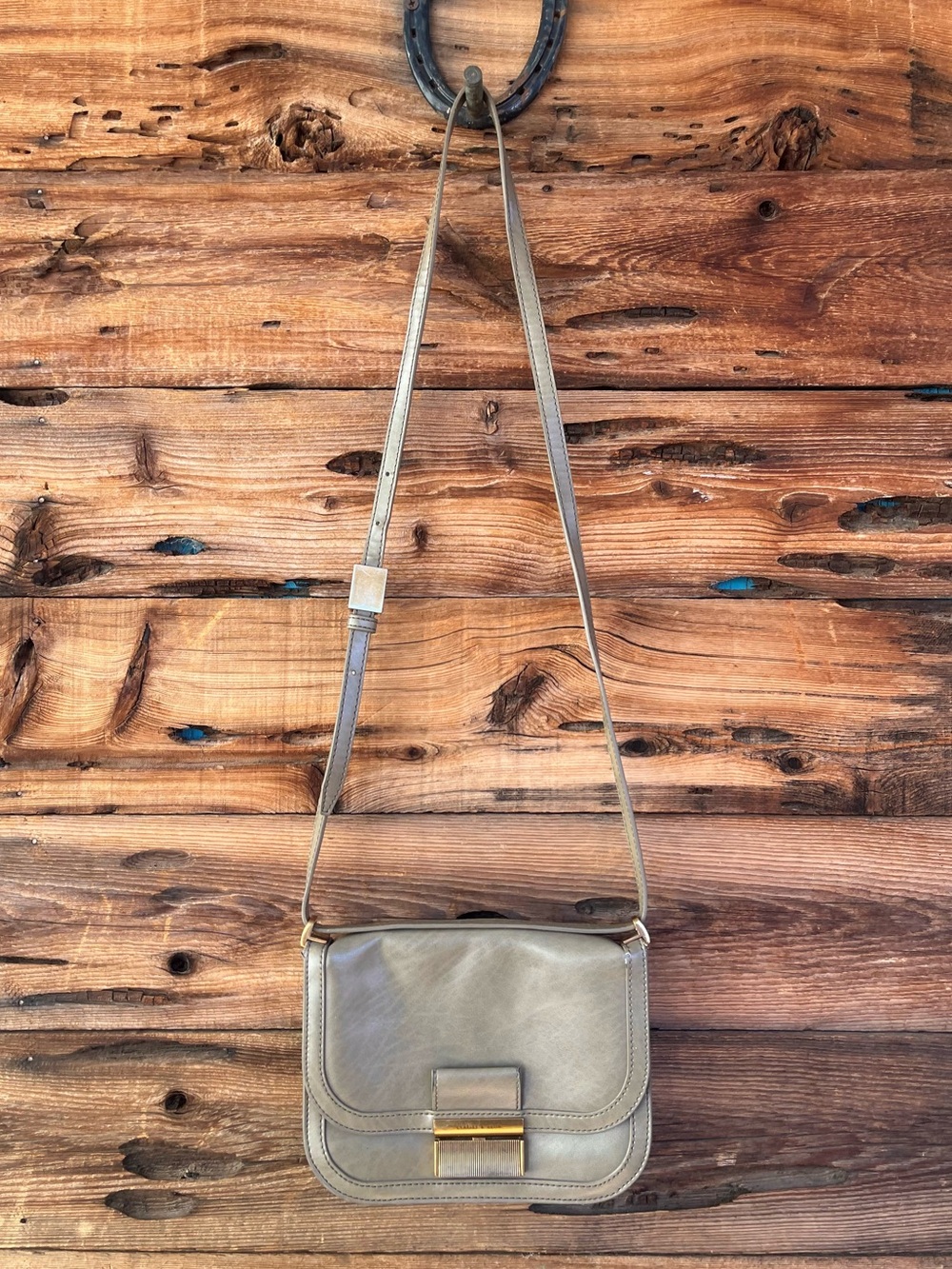 CHARLES & KEITH | Taupe Crossbody with Gold Hardware